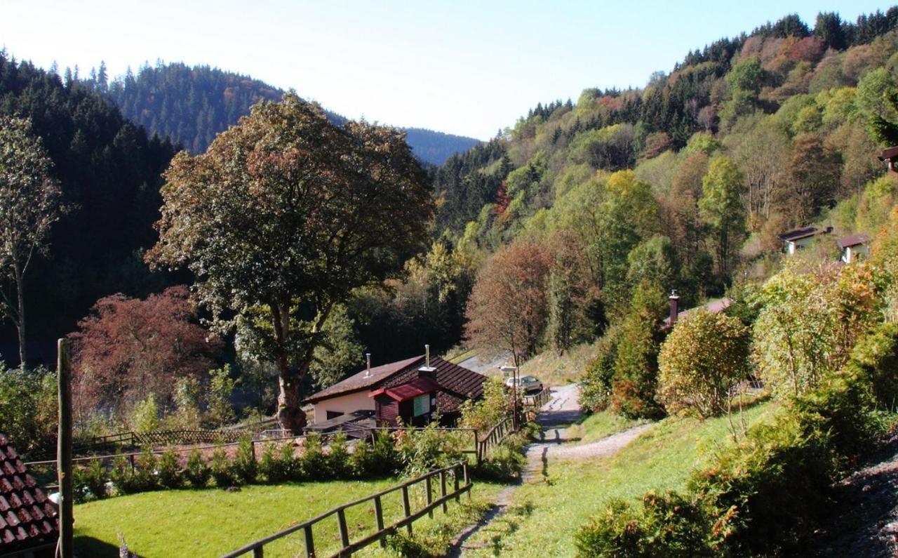Harzhuisje - Sankt Andreasberg Exterior photo